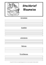 Steckbriefvorlage-Blaumeise.pdf